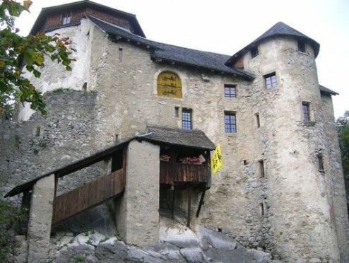 Neu- Ems Castle (Burg Neu- Ems)